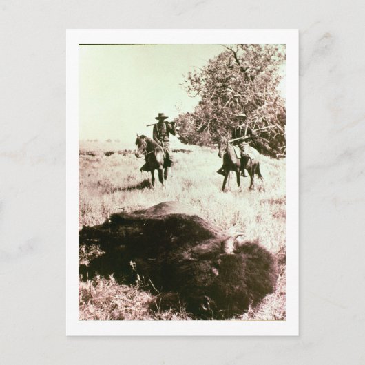 American Bison Hunters (写真b/w) ポストカード (正面)