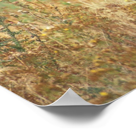 American Bison Poster ポスター (角)