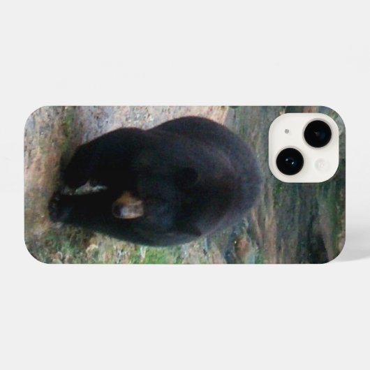 American Black Bear iPhone Case iPhoneケース (裏面横)