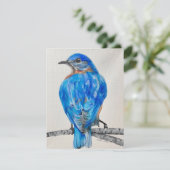 American Bluebird  シーズンカード (スタンド正面)