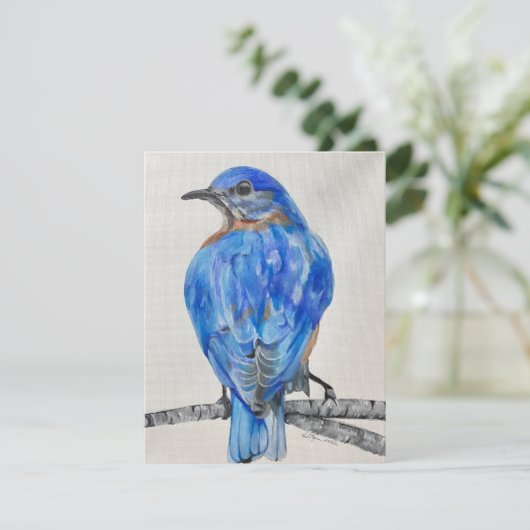 American Bluebird  シーズンカード (スタンド正面)