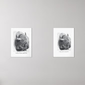 American Buffalo (正面)