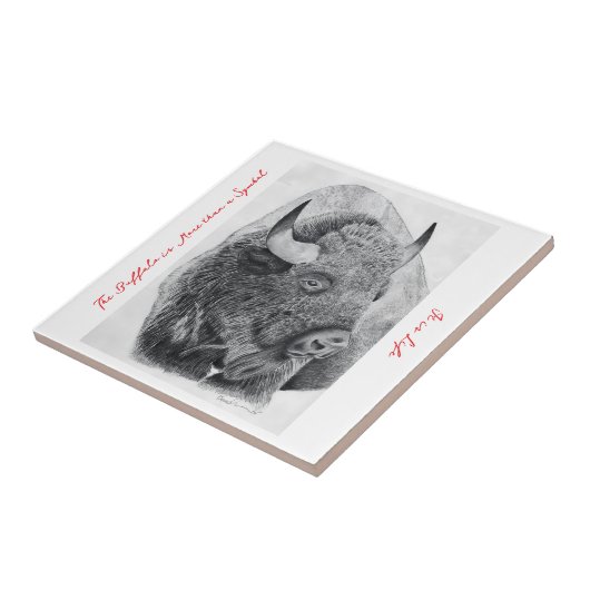 American Buffalo タイル (側面)