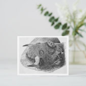 American Buffalo ポストカード (スタンド正面)