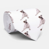 american bulldog ネクタイ (ロール)