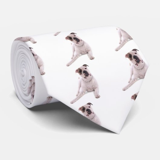 american bulldog ネクタイ (ロール)