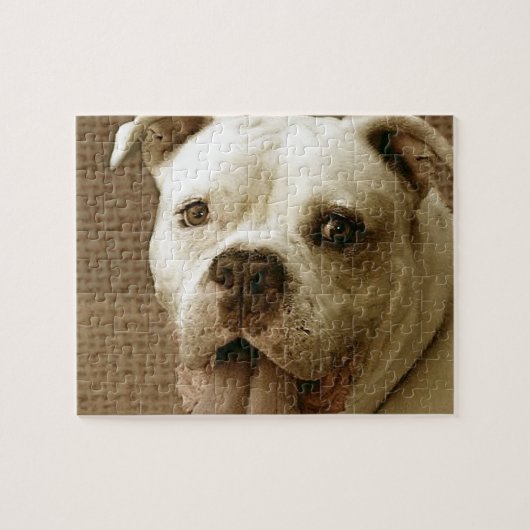 American Bulldog Dog Jigsaw puzzle ジグソーパズル (横)