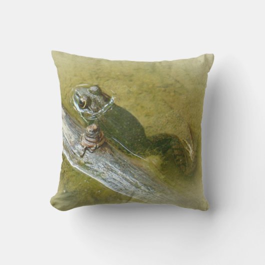 American Bullfrog - Rana catesbeiana クッション (正面)