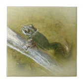 American Bullfrog - Rana catesbeiana タイル (正面)