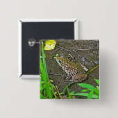 American Bullfrog - Rana catesbeiana 缶バッジ (正面&裏面)