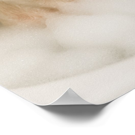 american bully dog cute funny bathroom decor ポスター (角)