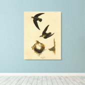 American (Chimney) Swift Audubon, Birds of America キャンバスプリント (インサイチュ (ウッドフロア))