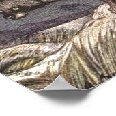 American Civet by Louis Sargent, Animals ポスター (角)