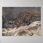 American Civet by Louis Sargent, Animals ポスター (正面)