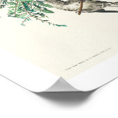 American Crossbill by Audubon Poster ポスター (角)