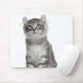 American Curl Kitten (3カ月) マウスパッド (マウス)
