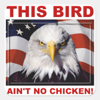 American Eagle Ain't No Chickenステッカー スクエアシール