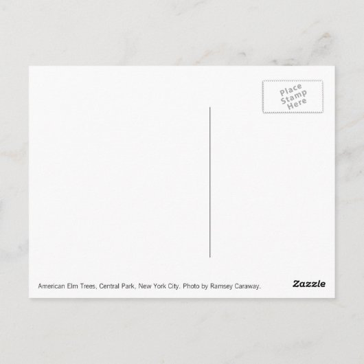 American Elm Treesはがき ポストカード (裏面)