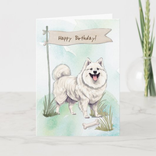 American Eskimo Breed Dog Under Birthday Sign カード (正面)