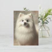 American Eskimo Dog カード (スタンド正面)