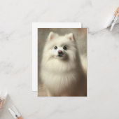 American Eskimo Dog カード (正面/裏面インサイチュ)