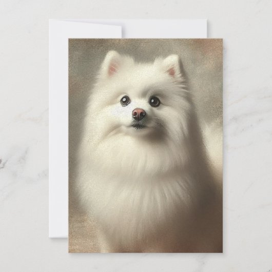American Eskimo Dog カード (正面)