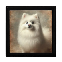 American Eskimo Dog