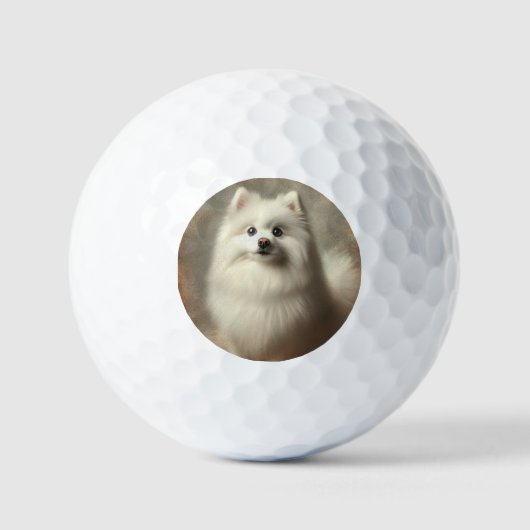 American Eskimo Dog ゴルフボール (正面)