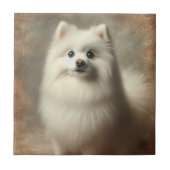 American Eskimo Dog タイル (正面)