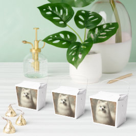 American Eskimo Dog フェイバーボックス