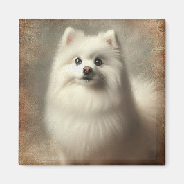 American Eskimo Dog マグネット
