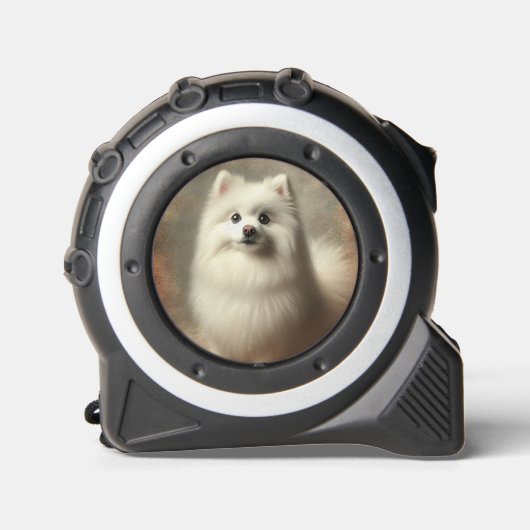 American Eskimo Dog メジャー (正面)