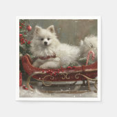 American Eskimo Dog Christmas Festive  スタンダードカクテルナプキン (正面)