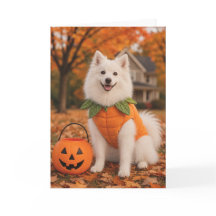 American Eskimo Dog Halloween Card