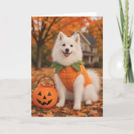 American Eskimo Dog Halloween Card カード