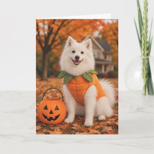 American Eskimo Dog Halloween Card カード (正面)