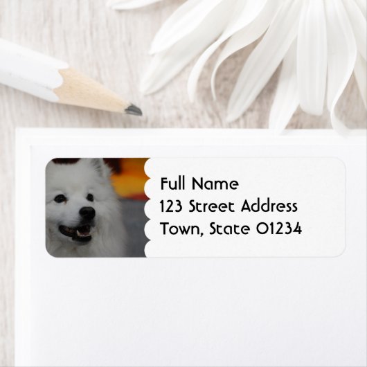 American Eskimo Dog Mailing Labels ラベル (インサイチュ)