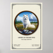 American Eskimo Dog Zoology Series ポスター (正面)