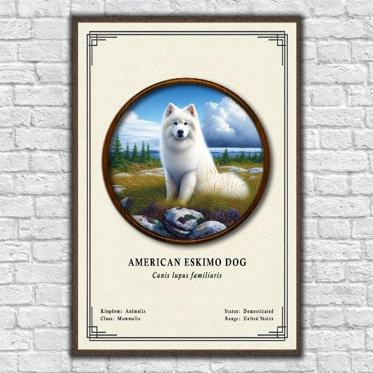 American Eskimo Dog Zoology Series ポスター