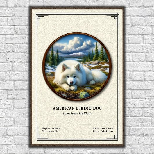 American Eskimo Dog Zoology Series ポスター