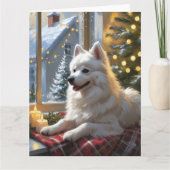 American Eskimo With Christmas Lights Holiday カード (正面)