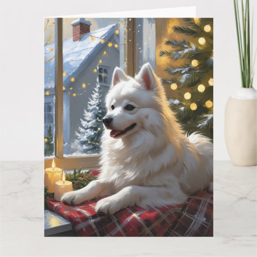 American Eskimo With Christmas Lights Holiday カード (正面)