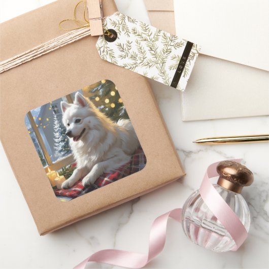 American Eskimo With Christmas Lights Holiday スクエアシール (ギフト)