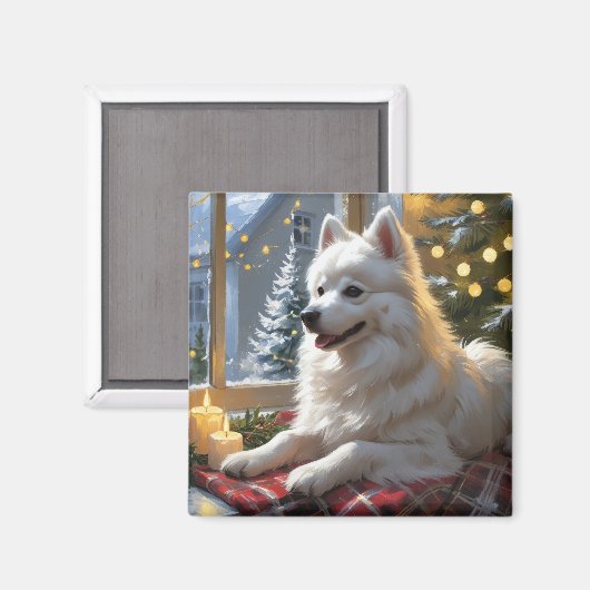 American Eskimo With Christmas Lights Holiday マグネット (正面/裏面)