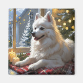 American Eskimo With Christmas Lights Holiday マグネット (正面)