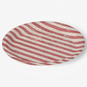 American Flag ペーパープレート (アングル)