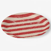 American Flag ペーパープレート (アングル)