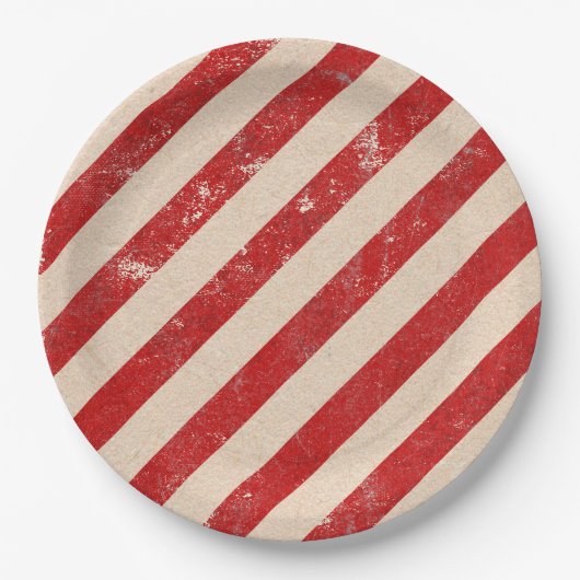 American Flag ペーパープレート (正面)