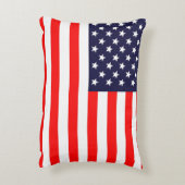 American Flag Designed Pillow アクセントクッション (裏面(縦))
