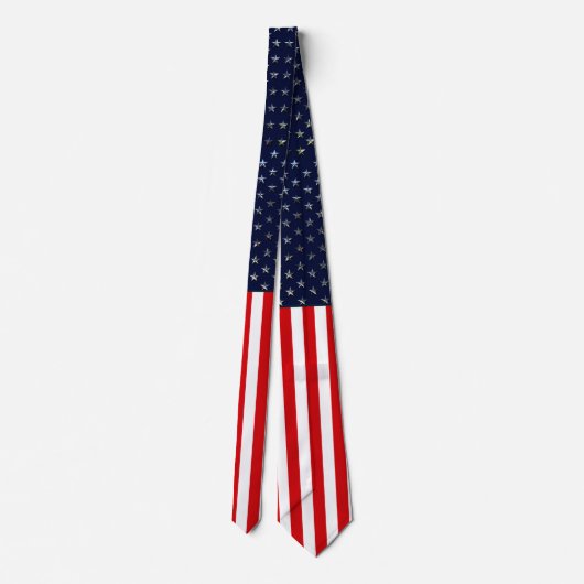 American Flag Neck Tie ネクタイ (裏面)